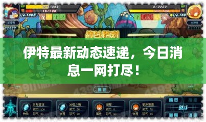 伊特最新动态速递，今日消息一网打尽！