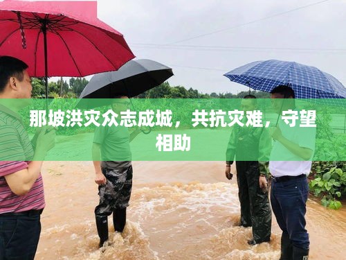 那坡洪灾众志成城，共抗灾难，守望相助