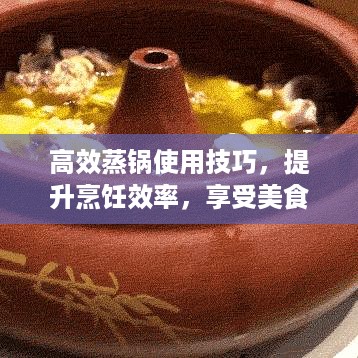 高效蒸锅使用技巧，提升烹饪效率，享受美食盛宴体验