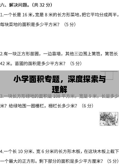 小学面积专题，深度探索与理解