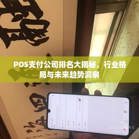 POS支付公司排名大揭秘，行业格局与未来趋势洞察