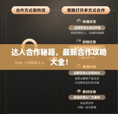 达人合作秘籍，最新合作攻略大全！