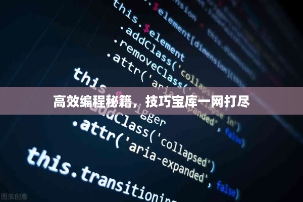 高效编程秘籍，技巧宝库一网打尽