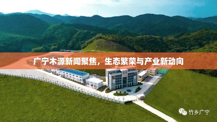 广宁木源新闻聚焦，生态繁荣与产业新动向