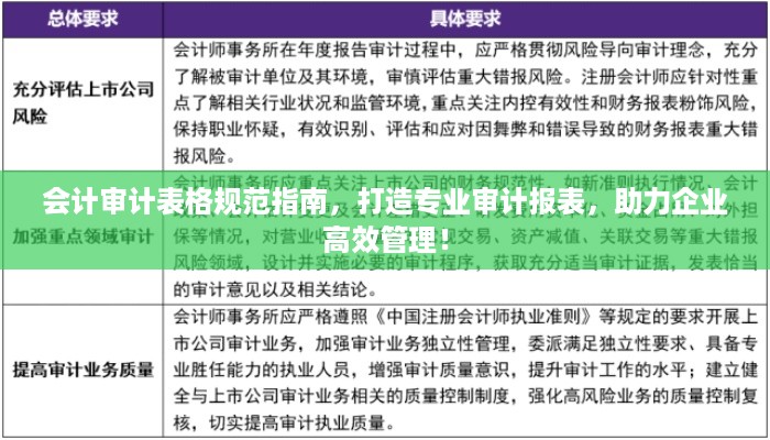 会计审计表格规范指南，打造专业审计报表，助力企业高效管理！
