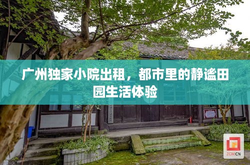 广州独家小院出租，都市里的静谧田园生活体验