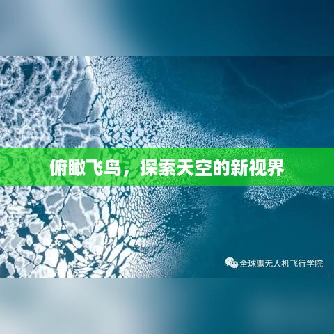 俯瞰飞鸟，探索天空的新视界
