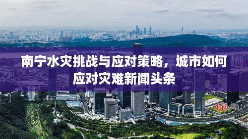 南宁水灾挑战与应对策略，城市如何应对灾难新闻头条